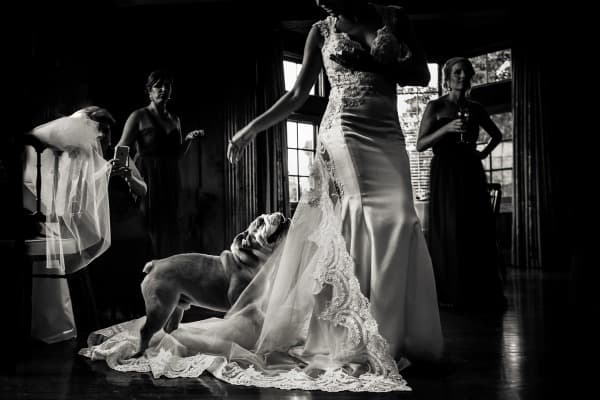Sophie Rose & Co | Premium Wedding Videography in Melbourne