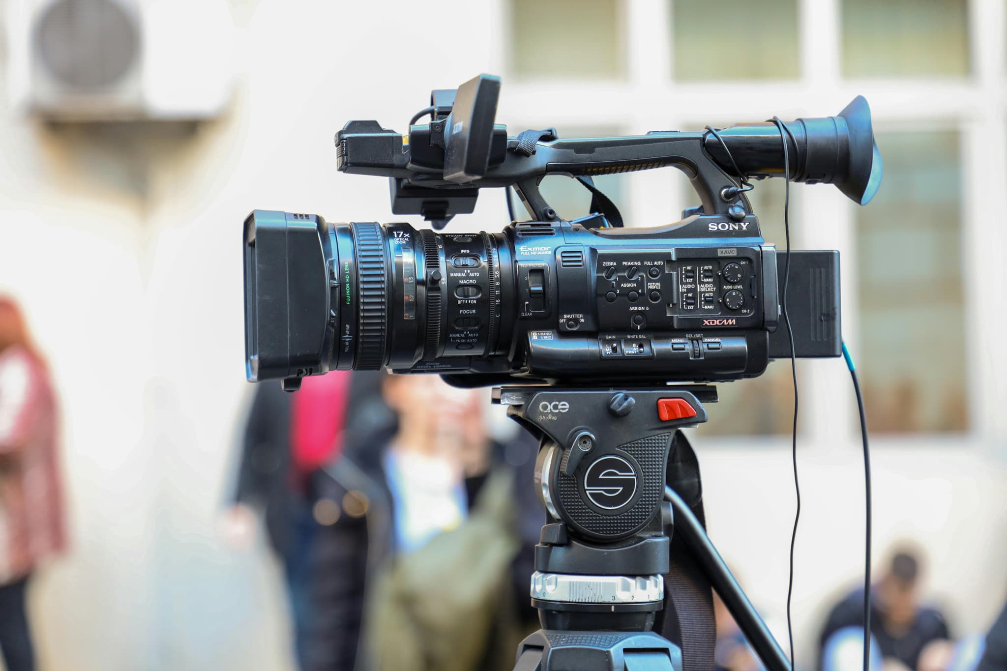 Learn Video Editing and Motion Graphics from Beginner to Professional