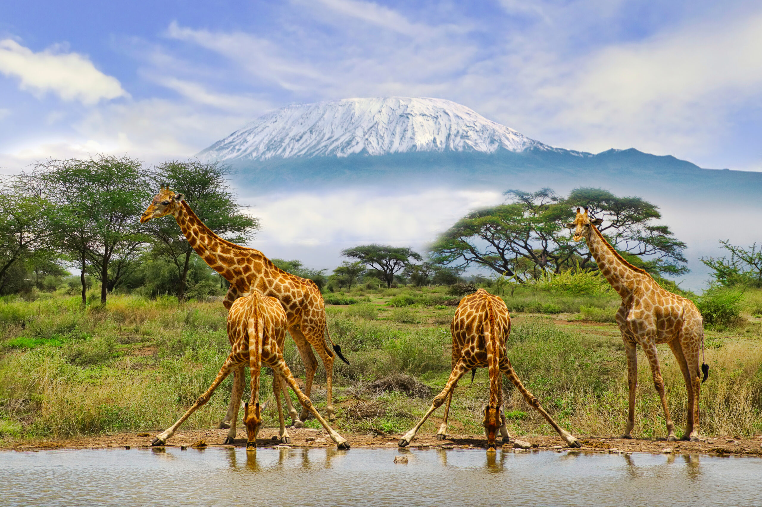 Tanzania Safari Tips: Best Time to Visit &amp; What to Expect