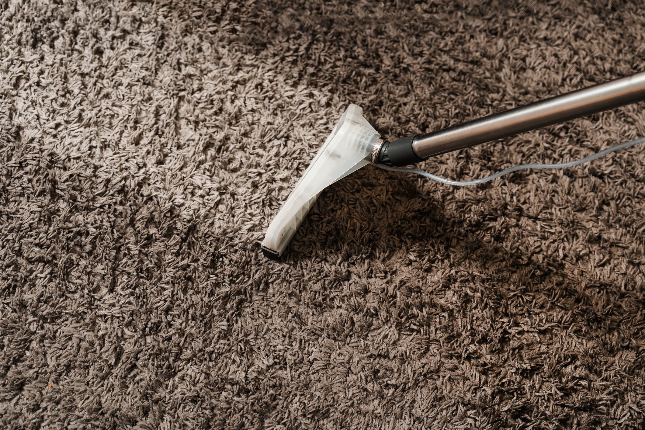 Reliable Carpet Cleaning Roseville CA by Local Experts