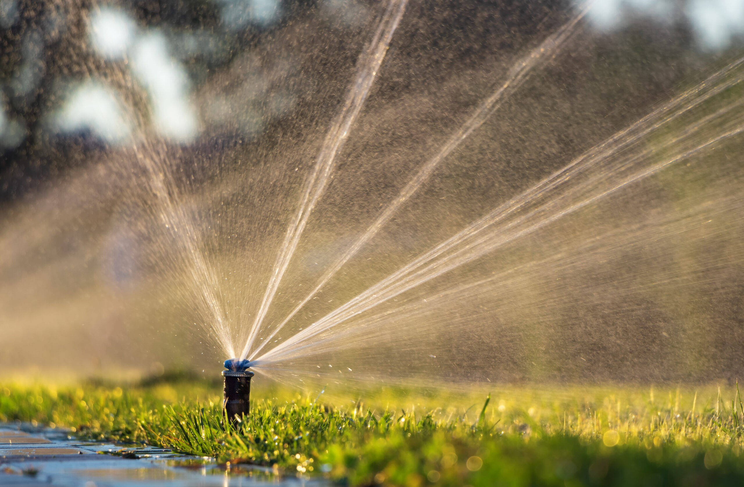 Professional Irrigation Services in White Settlement, TX for Optimal System Performance