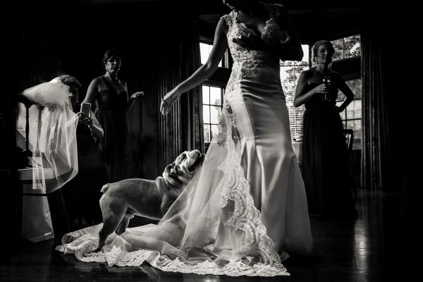 Sophie Rose &amp; Co | Premium Wedding Videography in Melbourne