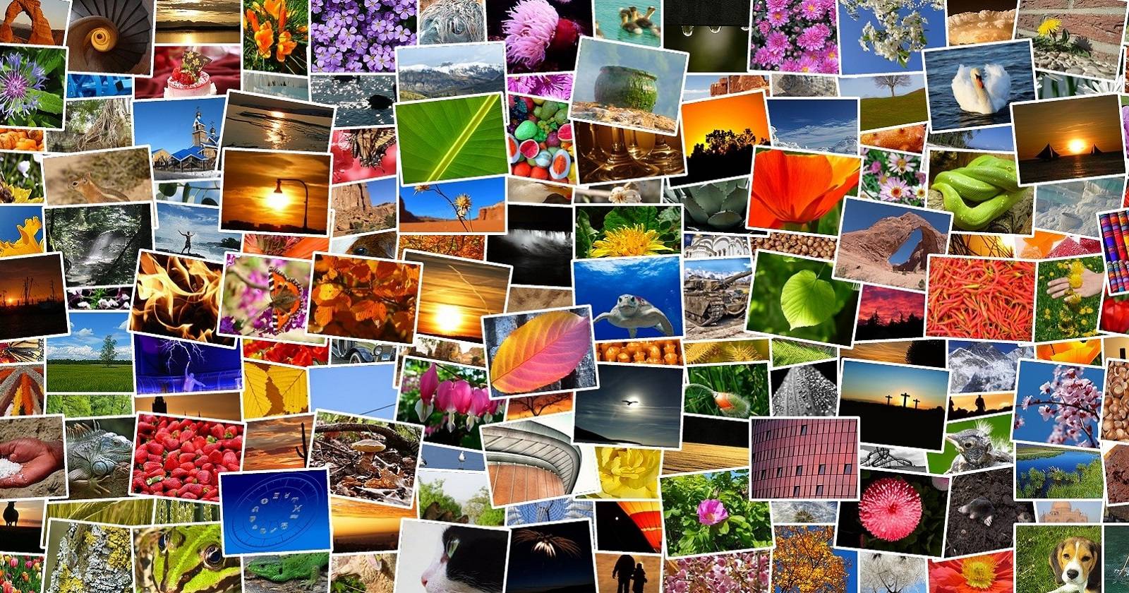 Collage Maker That Lets You Design Without Limits