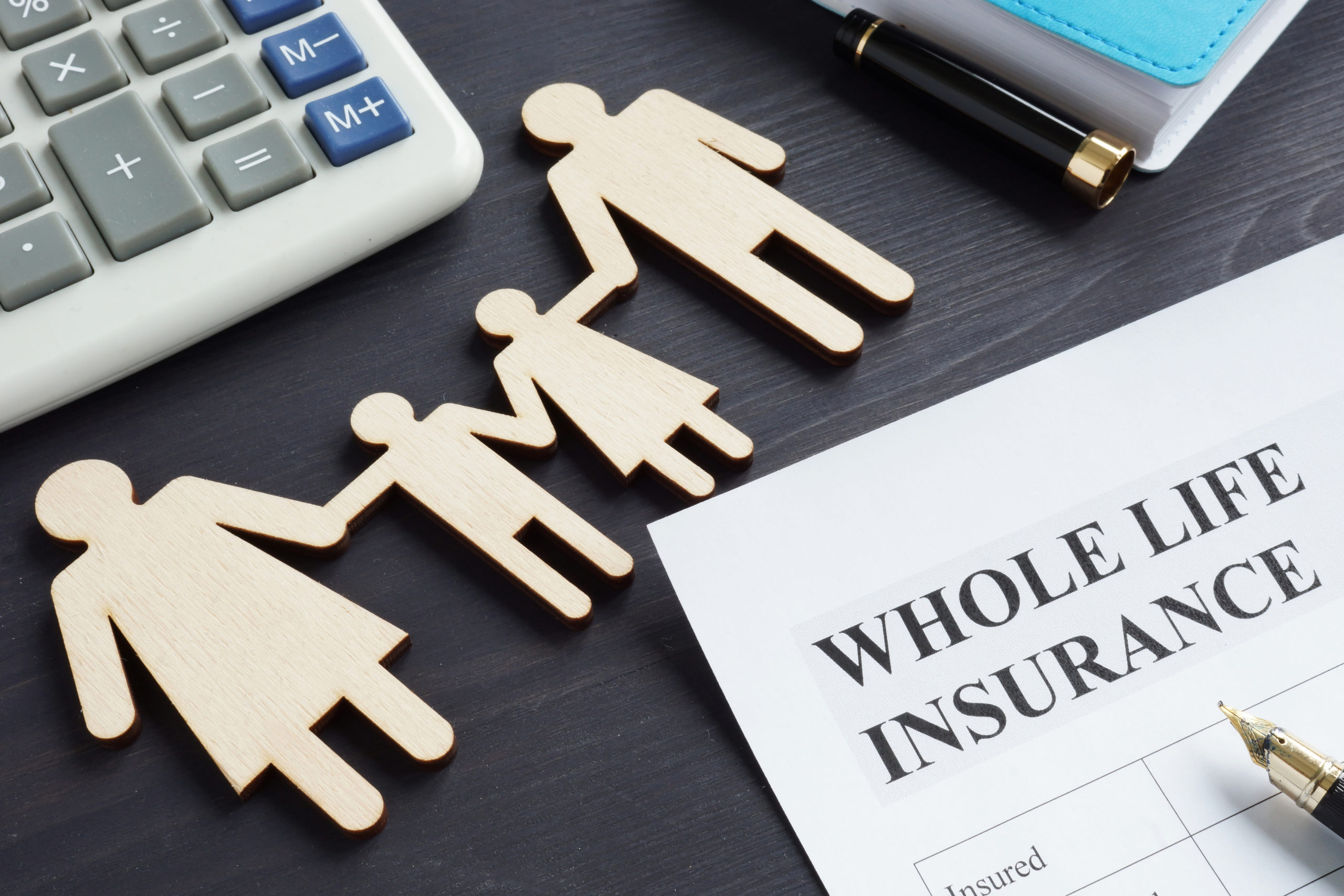Secure Your Family’s Future with Stein Insurance Term Life Insurance