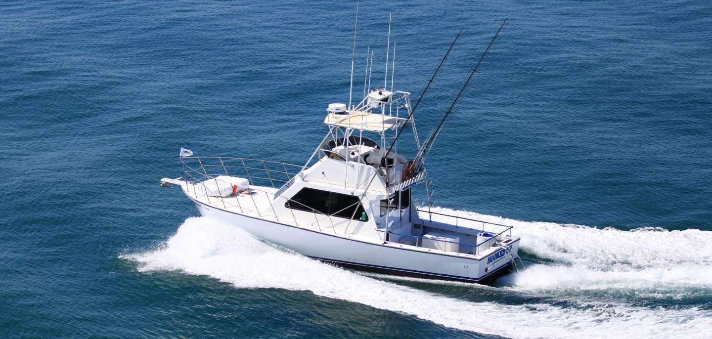 Cabo Fishing Charters for Marlin and Tuna Fishing