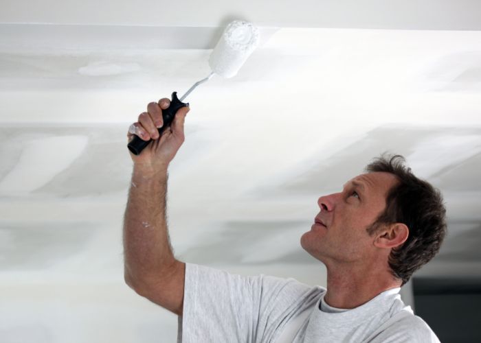 Best House Painters Minneapolis for Residential Painting