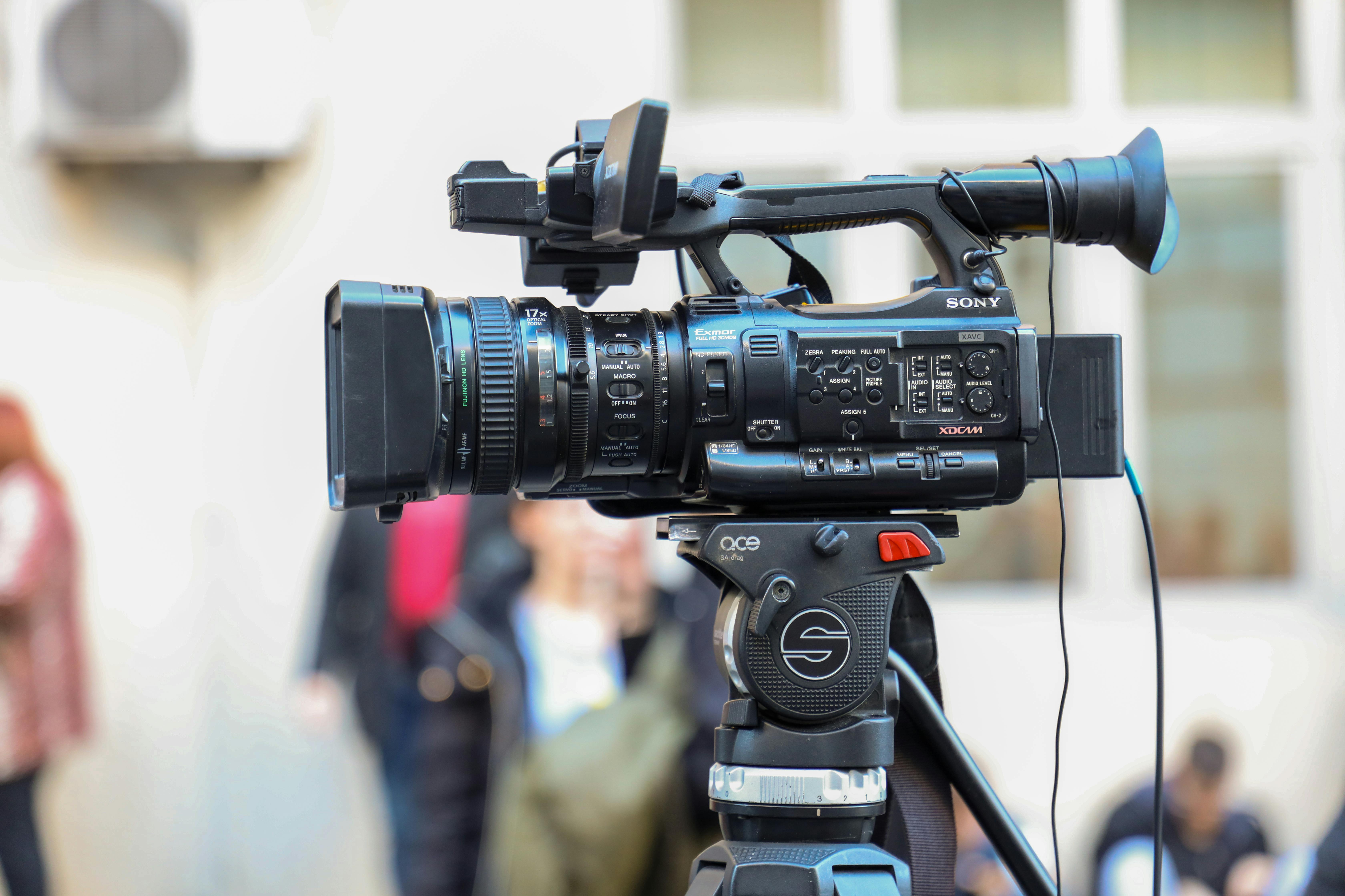 Learn Video Editing and Motion Graphics from Beginner to Professional