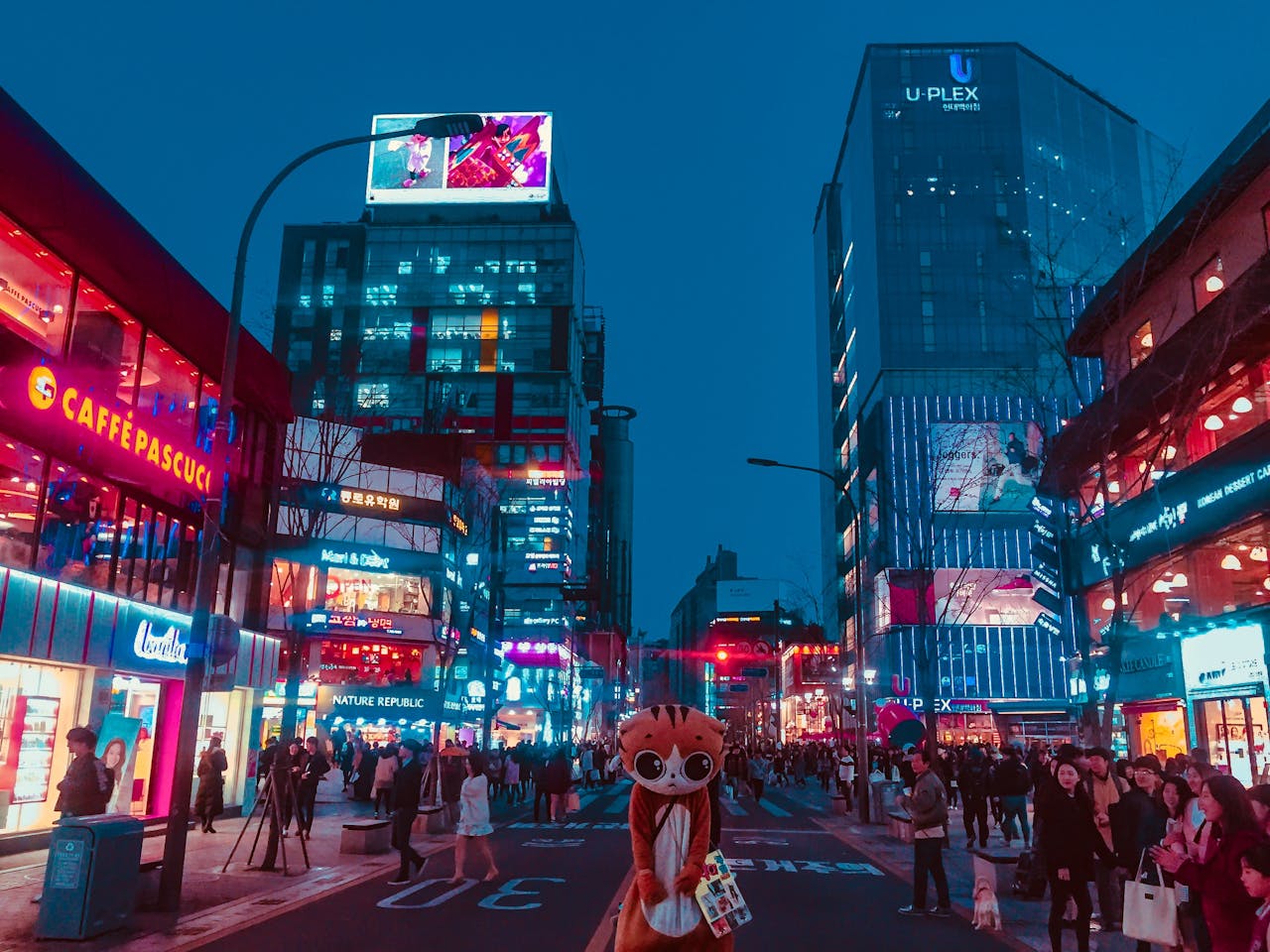 나트랑 유흥 추천 시간대: 언제 가야 최고일까?