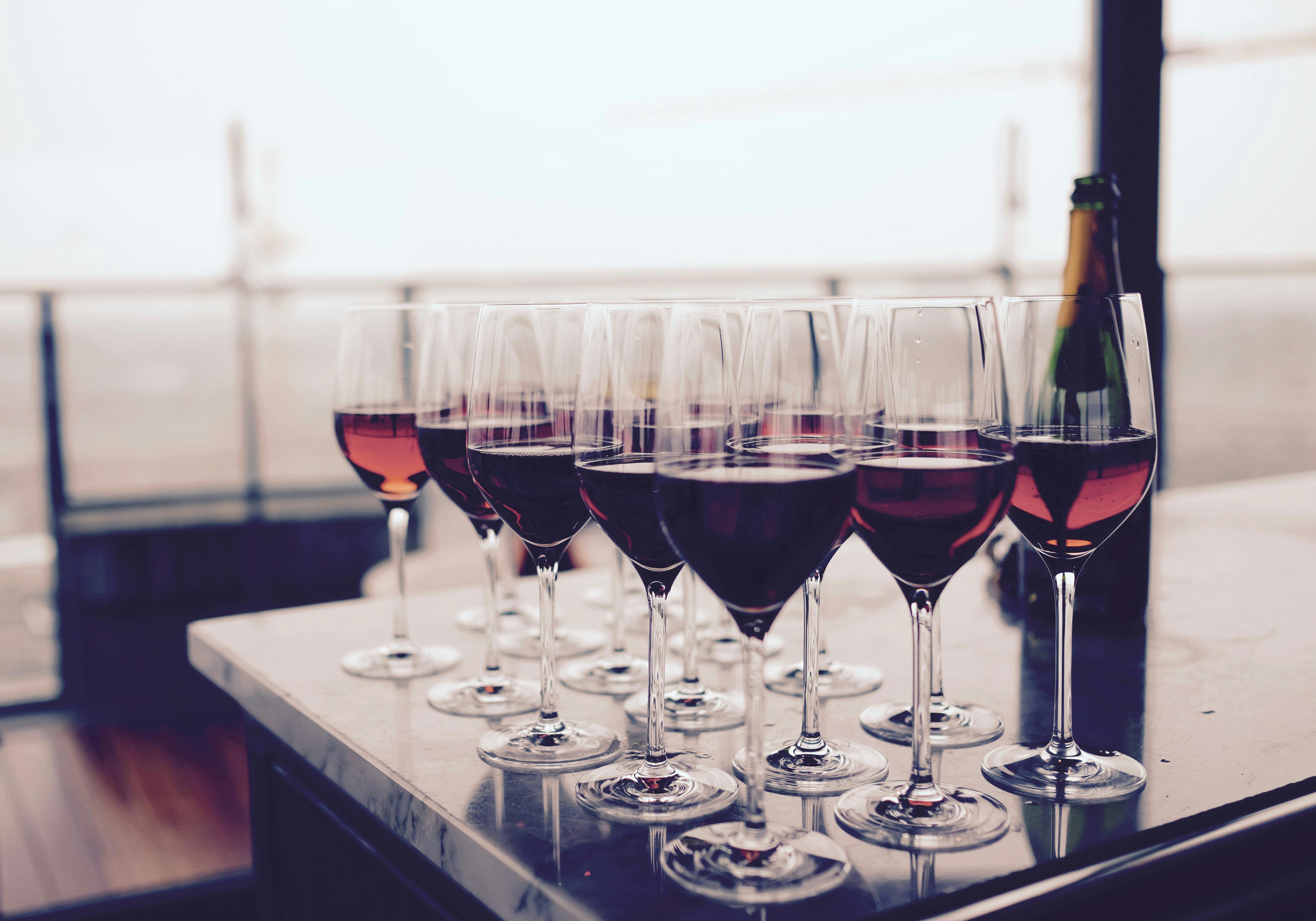 Discover the Best Vineyards on Langley wine tours