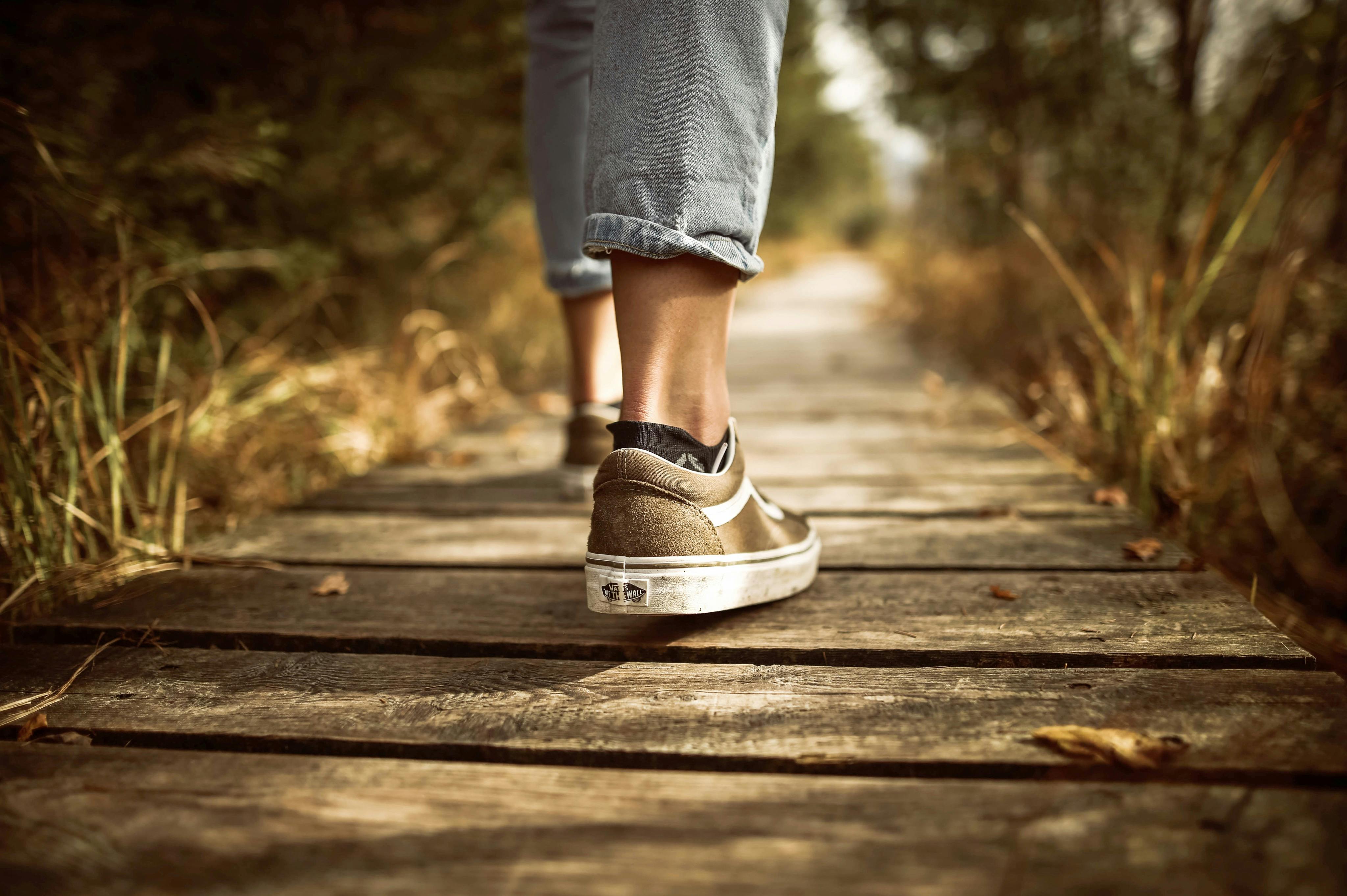 Cool Trails for Unforgettable Hiking and Birdwatching Experiences